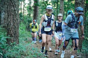 BIB: 
                            <button type="button" onclick="openModal(26562070)" class="btn btn-primary btn-sm float-right btn-popup" data-toggle="modal" data-target=".modal-high-quality">
                        <i class="fas fa-shopping-cart"></i> Add to Cart
                    </button>
                                            <button type="button" onclick="isThisMe(26562070, true)" class="btn btn-success btn-sm float-right btn-popup btn-isme hidden" data-toggle="tooltip" data-placement="bottom" title="นี่คือรูปของคุณใช่ไหม คลิกที่นี่เพื่อเอาเข้าอัลบั้ม">
                        <i class="fas fa-plus"></i> Add to album
                    </button>
                    <button type="button" onclick="isThisMe(26562070, false)" class="btn btn-warning btn-sm float-right btn-popup btn-isnotme hidden">
                        <i class="fas fa-ban"></i> Remove from album
                    </button>