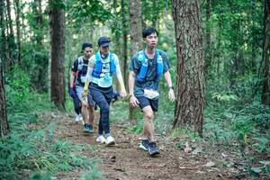 BIB: 
                            <button type="button" onclick="openModal(26568123)" class="btn btn-primary btn-sm float-right btn-popup" data-toggle="modal" data-target=".modal-high-quality">
                        <i class="fas fa-shopping-cart"></i> Add to Cart
                    </button>
                                            <button type="button" onclick="isThisMe(26568123, true)" class="btn btn-success btn-sm float-right btn-popup btn-isme hidden" data-toggle="tooltip" data-placement="bottom" title="นี่คือรูปของคุณใช่ไหม คลิกที่นี่เพื่อเอาเข้าอัลบั้ม">
                        <i class="fas fa-plus"></i> Add to album
                    </button>
                    <button type="button" onclick="isThisMe(26568123, false)" class="btn btn-warning btn-sm float-right btn-popup btn-isnotme hidden">
                        <i class="fas fa-ban"></i> Remove from album
                    </button>