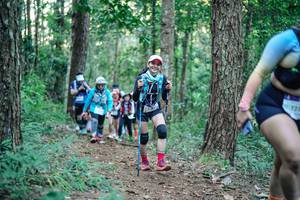 BIB: 
                            <button type="button" onclick="openModal(26564106)" class="btn btn-primary btn-sm float-right btn-popup" data-toggle="modal" data-target=".modal-high-quality">
                        <i class="fas fa-shopping-cart"></i> Add to Cart
                    </button>
                                            <button type="button" onclick="isThisMe(26564106, true)" class="btn btn-success btn-sm float-right btn-popup btn-isme hidden" data-toggle="tooltip" data-placement="bottom" title="นี่คือรูปของคุณใช่ไหม คลิกที่นี่เพื่อเอาเข้าอัลบั้ม">
                        <i class="fas fa-plus"></i> Add to album
                    </button>
                    <button type="button" onclick="isThisMe(26564106, false)" class="btn btn-warning btn-sm float-right btn-popup btn-isnotme hidden">
                        <i class="fas fa-ban"></i> Remove from album
                    </button>