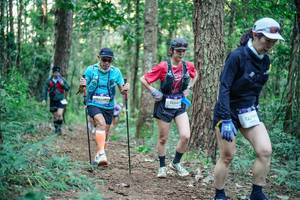 BIB: 
                            <button type="button" onclick="openModal(26567909)" class="btn btn-primary btn-sm float-right btn-popup" data-toggle="modal" data-target=".modal-high-quality">
                        <i class="fas fa-shopping-cart"></i> Add to Cart
                    </button>
                                            <button type="button" onclick="isThisMe(26567909, true)" class="btn btn-success btn-sm float-right btn-popup btn-isme hidden" data-toggle="tooltip" data-placement="bottom" title="นี่คือรูปของคุณใช่ไหม คลิกที่นี่เพื่อเอาเข้าอัลบั้ม">
                        <i class="fas fa-plus"></i> Add to album
                    </button>
                    <button type="button" onclick="isThisMe(26567909, false)" class="btn btn-warning btn-sm float-right btn-popup btn-isnotme hidden">
                        <i class="fas fa-ban"></i> Remove from album
                    </button>