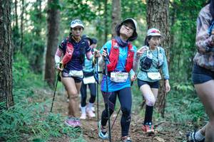 BIB: 
                            <button type="button" onclick="openModal(26564033)" class="btn btn-primary btn-sm float-right btn-popup" data-toggle="modal" data-target=".modal-high-quality">
                        <i class="fas fa-shopping-cart"></i> Add to Cart
                    </button>
                                            <button type="button" onclick="isThisMe(26564033, true)" class="btn btn-success btn-sm float-right btn-popup btn-isme hidden" data-toggle="tooltip" data-placement="bottom" title="นี่คือรูปของคุณใช่ไหม คลิกที่นี่เพื่อเอาเข้าอัลบั้ม">
                        <i class="fas fa-plus"></i> Add to album
                    </button>
                    <button type="button" onclick="isThisMe(26564033, false)" class="btn btn-warning btn-sm float-right btn-popup btn-isnotme hidden">
                        <i class="fas fa-ban"></i> Remove from album
                    </button>