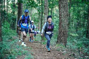 BIB: 
                            <button type="button" onclick="openModal(26562130)" class="btn btn-primary btn-sm float-right btn-popup" data-toggle="modal" data-target=".modal-high-quality">
                        <i class="fas fa-shopping-cart"></i> Add to Cart
                    </button>
                                            <button type="button" onclick="isThisMe(26562130, true)" class="btn btn-success btn-sm float-right btn-popup btn-isme hidden" data-toggle="tooltip" data-placement="bottom" title="นี่คือรูปของคุณใช่ไหม คลิกที่นี่เพื่อเอาเข้าอัลบั้ม">
                        <i class="fas fa-plus"></i> Add to album
                    </button>
                    <button type="button" onclick="isThisMe(26562130, false)" class="btn btn-warning btn-sm float-right btn-popup btn-isnotme hidden">
                        <i class="fas fa-ban"></i> Remove from album
                    </button>