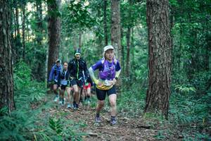 BIB: 
                            <button type="button" onclick="openModal(26561090)" class="btn btn-primary btn-sm float-right btn-popup" data-toggle="modal" data-target=".modal-high-quality">
                        <i class="fas fa-shopping-cart"></i> Add to Cart
                    </button>
                                            <button type="button" onclick="isThisMe(26561090, true)" class="btn btn-success btn-sm float-right btn-popup btn-isme hidden" data-toggle="tooltip" data-placement="bottom" title="นี่คือรูปของคุณใช่ไหม คลิกที่นี่เพื่อเอาเข้าอัลบั้ม">
                        <i class="fas fa-plus"></i> Add to album
                    </button>
                    <button type="button" onclick="isThisMe(26561090, false)" class="btn btn-warning btn-sm float-right btn-popup btn-isnotme hidden">
                        <i class="fas fa-ban"></i> Remove from album
                    </button>