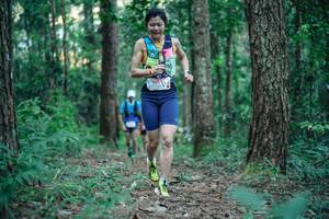 BIB: 
                            <button type="button" onclick="openModal(26561571)" class="btn btn-primary btn-sm float-right btn-popup" data-toggle="modal" data-target=".modal-high-quality">
                        <i class="fas fa-shopping-cart"></i> Add to Cart
                    </button>
                                            <button type="button" onclick="isThisMe(26561571, true)" class="btn btn-success btn-sm float-right btn-popup btn-isme hidden" data-toggle="tooltip" data-placement="bottom" title="นี่คือรูปของคุณใช่ไหม คลิกที่นี่เพื่อเอาเข้าอัลบั้ม">
                        <i class="fas fa-plus"></i> Add to album
                    </button>
                    <button type="button" onclick="isThisMe(26561571, false)" class="btn btn-warning btn-sm float-right btn-popup btn-isnotme hidden">
                        <i class="fas fa-ban"></i> Remove from album
                    </button>