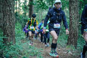 BIB: 
                            <button type="button" onclick="openModal(26566888)" class="btn btn-primary btn-sm float-right btn-popup" data-toggle="modal" data-target=".modal-high-quality">
                        <i class="fas fa-shopping-cart"></i> Add to Cart
                    </button>
                                            <button type="button" onclick="isThisMe(26566888, true)" class="btn btn-success btn-sm float-right btn-popup btn-isme hidden" data-toggle="tooltip" data-placement="bottom" title="นี่คือรูปของคุณใช่ไหม คลิกที่นี่เพื่อเอาเข้าอัลบั้ม">
                        <i class="fas fa-plus"></i> Add to album
                    </button>
                    <button type="button" onclick="isThisMe(26566888, false)" class="btn btn-warning btn-sm float-right btn-popup btn-isnotme hidden">
                        <i class="fas fa-ban"></i> Remove from album
                    </button>