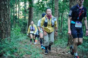 BIB: 
                            <button type="button" onclick="openModal(26564779)" class="btn btn-primary btn-sm float-right btn-popup" data-toggle="modal" data-target=".modal-high-quality">
                        <i class="fas fa-shopping-cart"></i> Add to Cart
                    </button>
                                            <button type="button" onclick="isThisMe(26564779, true)" class="btn btn-success btn-sm float-right btn-popup btn-isme hidden" data-toggle="tooltip" data-placement="bottom" title="นี่คือรูปของคุณใช่ไหม คลิกที่นี่เพื่อเอาเข้าอัลบั้ม">
                        <i class="fas fa-plus"></i> Add to album
                    </button>
                    <button type="button" onclick="isThisMe(26564779, false)" class="btn btn-warning btn-sm float-right btn-popup btn-isnotme hidden">
                        <i class="fas fa-ban"></i> Remove from album
                    </button>