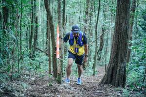 BIB: 
                            <button type="button" onclick="openModal(26565816)" class="btn btn-primary btn-sm float-right btn-popup" data-toggle="modal" data-target=".modal-high-quality">
                        <i class="fas fa-shopping-cart"></i> Add to Cart
                    </button>
                                            <button type="button" onclick="isThisMe(26565816, true)" class="btn btn-success btn-sm float-right btn-popup btn-isme hidden" data-toggle="tooltip" data-placement="bottom" title="นี่คือรูปของคุณใช่ไหม คลิกที่นี่เพื่อเอาเข้าอัลบั้ม">
                        <i class="fas fa-plus"></i> Add to album
                    </button>
                    <button type="button" onclick="isThisMe(26565816, false)" class="btn btn-warning btn-sm float-right btn-popup btn-isnotme hidden">
                        <i class="fas fa-ban"></i> Remove from album
                    </button>