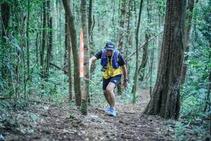 BIB: 
                            <button type="button" onclick="openModal(26565815)" class="btn btn-primary btn-sm float-right btn-popup" data-toggle="modal" data-target=".modal-high-quality">
                        <i class="fas fa-shopping-cart"></i> Add to Cart
                    </button>
                                            <button type="button" onclick="isThisMe(26565815, true)" class="btn btn-success btn-sm float-right btn-popup btn-isme hidden" data-toggle="tooltip" data-placement="bottom" title="นี่คือรูปของคุณใช่ไหม คลิกที่นี่เพื่อเอาเข้าอัลบั้ม">
                        <i class="fas fa-plus"></i> Add to album
                    </button>
                    <button type="button" onclick="isThisMe(26565815, false)" class="btn btn-warning btn-sm float-right btn-popup btn-isnotme hidden">
                        <i class="fas fa-ban"></i> Remove from album
                    </button>