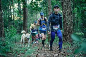 BIB: 
                            <button type="button" onclick="openModal(26561313)" class="btn btn-primary btn-sm float-right btn-popup" data-toggle="modal" data-target=".modal-high-quality">
                        <i class="fas fa-shopping-cart"></i> Add to Cart
                    </button>
                                            <button type="button" onclick="isThisMe(26561313, true)" class="btn btn-success btn-sm float-right btn-popup btn-isme hidden" data-toggle="tooltip" data-placement="bottom" title="นี่คือรูปของคุณใช่ไหม คลิกที่นี่เพื่อเอาเข้าอัลบั้ม">
                        <i class="fas fa-plus"></i> Add to album
                    </button>
                    <button type="button" onclick="isThisMe(26561313, false)" class="btn btn-warning btn-sm float-right btn-popup btn-isnotme hidden">
                        <i class="fas fa-ban"></i> Remove from album
                    </button>