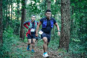 BIB: 
                            <button type="button" onclick="openModal(26564851)" class="btn btn-primary btn-sm float-right btn-popup" data-toggle="modal" data-target=".modal-high-quality">
                        <i class="fas fa-shopping-cart"></i> Add to Cart
                    </button>
                                            <button type="button" onclick="isThisMe(26564851, true)" class="btn btn-success btn-sm float-right btn-popup btn-isme hidden" data-toggle="tooltip" data-placement="bottom" title="นี่คือรูปของคุณใช่ไหม คลิกที่นี่เพื่อเอาเข้าอัลบั้ม">
                        <i class="fas fa-plus"></i> Add to album
                    </button>
                    <button type="button" onclick="isThisMe(26564851, false)" class="btn btn-warning btn-sm float-right btn-popup btn-isnotme hidden">
                        <i class="fas fa-ban"></i> Remove from album
                    </button>