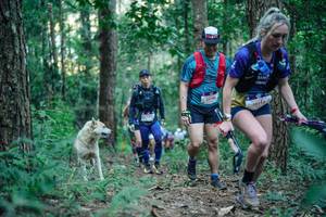 BIB: 
                            <button type="button" onclick="openModal(26561317)" class="btn btn-primary btn-sm float-right btn-popup" data-toggle="modal" data-target=".modal-high-quality">
                        <i class="fas fa-shopping-cart"></i> Add to Cart
                    </button>
                                            <button type="button" onclick="isThisMe(26561317, true)" class="btn btn-success btn-sm float-right btn-popup btn-isme hidden" data-toggle="tooltip" data-placement="bottom" title="นี่คือรูปของคุณใช่ไหม คลิกที่นี่เพื่อเอาเข้าอัลบั้ม">
                        <i class="fas fa-plus"></i> Add to album
                    </button>
                    <button type="button" onclick="isThisMe(26561317, false)" class="btn btn-warning btn-sm float-right btn-popup btn-isnotme hidden">
                        <i class="fas fa-ban"></i> Remove from album
                    </button>