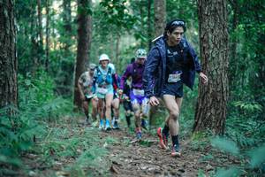 BIB: 
                            <button type="button" onclick="openModal(26561425)" class="btn btn-primary btn-sm float-right btn-popup" data-toggle="modal" data-target=".modal-high-quality">
                        <i class="fas fa-shopping-cart"></i> Add to Cart
                    </button>
                                            <button type="button" onclick="isThisMe(26561425, true)" class="btn btn-success btn-sm float-right btn-popup btn-isme hidden" data-toggle="tooltip" data-placement="bottom" title="นี่คือรูปของคุณใช่ไหม คลิกที่นี่เพื่อเอาเข้าอัลบั้ม">
                        <i class="fas fa-plus"></i> Add to album
                    </button>
                    <button type="button" onclick="isThisMe(26561425, false)" class="btn btn-warning btn-sm float-right btn-popup btn-isnotme hidden">
                        <i class="fas fa-ban"></i> Remove from album
                    </button>