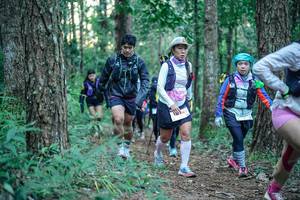 BIB: 
                            <button type="button" onclick="openModal(26566710)" class="btn btn-primary btn-sm float-right btn-popup" data-toggle="modal" data-target=".modal-high-quality">
                        <i class="fas fa-shopping-cart"></i> Add to Cart
                    </button>
                                            <button type="button" onclick="isThisMe(26566710, true)" class="btn btn-success btn-sm float-right btn-popup btn-isme hidden" data-toggle="tooltip" data-placement="bottom" title="นี่คือรูปของคุณใช่ไหม คลิกที่นี่เพื่อเอาเข้าอัลบั้ม">
                        <i class="fas fa-plus"></i> Add to album
                    </button>
                    <button type="button" onclick="isThisMe(26566710, false)" class="btn btn-warning btn-sm float-right btn-popup btn-isnotme hidden">
                        <i class="fas fa-ban"></i> Remove from album
                    </button>