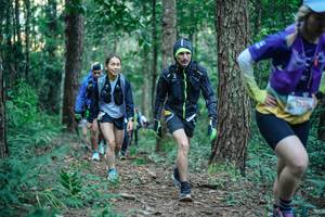 BIB: 
                            <button type="button" onclick="openModal(26561085)" class="btn btn-primary btn-sm float-right btn-popup" data-toggle="modal" data-target=".modal-high-quality">
                        <i class="fas fa-shopping-cart"></i> Add to Cart
                    </button>
                                            <button type="button" onclick="isThisMe(26561085, true)" class="btn btn-success btn-sm float-right btn-popup btn-isme hidden" data-toggle="tooltip" data-placement="bottom" title="นี่คือรูปของคุณใช่ไหม คลิกที่นี่เพื่อเอาเข้าอัลบั้ม">
                        <i class="fas fa-plus"></i> Add to album
                    </button>
                    <button type="button" onclick="isThisMe(26561085, false)" class="btn btn-warning btn-sm float-right btn-popup btn-isnotme hidden">
                        <i class="fas fa-ban"></i> Remove from album
                    </button>