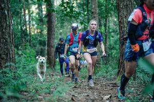 BIB: 
                            <button type="button" onclick="openModal(26561321)" class="btn btn-primary btn-sm float-right btn-popup" data-toggle="modal" data-target=".modal-high-quality">
                        <i class="fas fa-shopping-cart"></i> Add to Cart
                    </button>
                                            <button type="button" onclick="isThisMe(26561321, true)" class="btn btn-success btn-sm float-right btn-popup btn-isme hidden" data-toggle="tooltip" data-placement="bottom" title="นี่คือรูปของคุณใช่ไหม คลิกที่นี่เพื่อเอาเข้าอัลบั้ม">
                        <i class="fas fa-plus"></i> Add to album
                    </button>
                    <button type="button" onclick="isThisMe(26561321, false)" class="btn btn-warning btn-sm float-right btn-popup btn-isnotme hidden">
                        <i class="fas fa-ban"></i> Remove from album
                    </button>