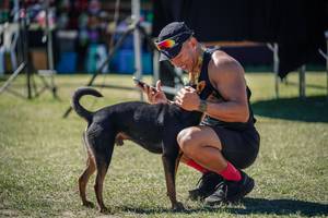 BIB: 
                            <button type="button" onclick="openModal(26597894)" class="btn btn-primary btn-sm float-right btn-popup" data-toggle="modal" data-target=".modal-high-quality">
                        <i class="fas fa-shopping-cart"></i> Add to Cart
                    </button>
                                            <button type="button" onclick="isThisMe(26597894, true)" class="btn btn-success btn-sm float-right btn-popup btn-isme hidden" data-toggle="tooltip" data-placement="bottom" title="นี่คือรูปของคุณใช่ไหม คลิกที่นี่เพื่อเอาเข้าอัลบั้ม">
                        <i class="fas fa-plus"></i> Add to album
                    </button>
                    <button type="button" onclick="isThisMe(26597894, false)" class="btn btn-warning btn-sm float-right btn-popup btn-isnotme hidden">
                        <i class="fas fa-ban"></i> Remove from album
                    </button>