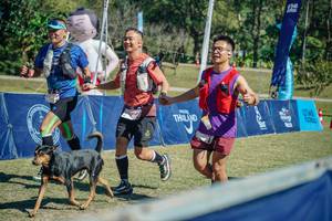 BIB: 
                            <button type="button" onclick="openModal(26695089)" class="btn btn-primary btn-sm float-right btn-popup" data-toggle="modal" data-target=".modal-high-quality">
                        <i class="fas fa-shopping-cart"></i> Add to Cart
                    </button>
                                            <button type="button" onclick="isThisMe(26695089, true)" class="btn btn-success btn-sm float-right btn-popup btn-isme hidden" data-toggle="tooltip" data-placement="bottom" title="นี่คือรูปของคุณใช่ไหม คลิกที่นี่เพื่อเอาเข้าอัลบั้ม">
                        <i class="fas fa-plus"></i> Add to album
                    </button>
                    <button type="button" onclick="isThisMe(26695089, false)" class="btn btn-warning btn-sm float-right btn-popup btn-isnotme hidden">
                        <i class="fas fa-ban"></i> Remove from album
                    </button>