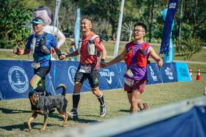 BIB: 
                            <button type="button" onclick="openModal(26695132)" class="btn btn-primary btn-sm float-right btn-popup" data-toggle="modal" data-target=".modal-high-quality">
                        <i class="fas fa-shopping-cart"></i> Add to Cart
                    </button>
                                            <button type="button" onclick="isThisMe(26695132, true)" class="btn btn-success btn-sm float-right btn-popup btn-isme hidden" data-toggle="tooltip" data-placement="bottom" title="นี่คือรูปของคุณใช่ไหม คลิกที่นี่เพื่อเอาเข้าอัลบั้ม">
                        <i class="fas fa-plus"></i> Add to album
                    </button>
                    <button type="button" onclick="isThisMe(26695132, false)" class="btn btn-warning btn-sm float-right btn-popup btn-isnotme hidden">
                        <i class="fas fa-ban"></i> Remove from album
                    </button>