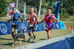 BIB: 
                            <button type="button" onclick="openModal(26699597)" class="btn btn-primary btn-sm float-right btn-popup" data-toggle="modal" data-target=".modal-high-quality">
                        <i class="fas fa-shopping-cart"></i> Add to Cart
                    </button>
                                            <button type="button" onclick="isThisMe(26699597, true)" class="btn btn-success btn-sm float-right btn-popup btn-isme hidden" data-toggle="tooltip" data-placement="bottom" title="นี่คือรูปของคุณใช่ไหม คลิกที่นี่เพื่อเอาเข้าอัลบั้ม">
                        <i class="fas fa-plus"></i> Add to album
                    </button>
                    <button type="button" onclick="isThisMe(26699597, false)" class="btn btn-warning btn-sm float-right btn-popup btn-isnotme hidden">
                        <i class="fas fa-ban"></i> Remove from album
                    </button>