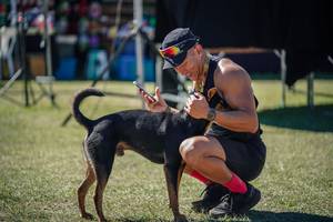 BIB: 
                            <button type="button" onclick="openModal(26597890)" class="btn btn-primary btn-sm float-right btn-popup" data-toggle="modal" data-target=".modal-high-quality">
                        <i class="fas fa-shopping-cart"></i> Add to Cart
                    </button>
                                            <button type="button" onclick="isThisMe(26597890, true)" class="btn btn-success btn-sm float-right btn-popup btn-isme hidden" data-toggle="tooltip" data-placement="bottom" title="นี่คือรูปของคุณใช่ไหม คลิกที่นี่เพื่อเอาเข้าอัลบั้ม">
                        <i class="fas fa-plus"></i> Add to album
                    </button>
                    <button type="button" onclick="isThisMe(26597890, false)" class="btn btn-warning btn-sm float-right btn-popup btn-isnotme hidden">
                        <i class="fas fa-ban"></i> Remove from album
                    </button>