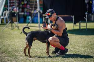 BIB: 
                            <button type="button" onclick="openModal(26597886)" class="btn btn-primary btn-sm float-right btn-popup" data-toggle="modal" data-target=".modal-high-quality">
                        <i class="fas fa-shopping-cart"></i> Add to Cart
                    </button>
                                            <button type="button" onclick="isThisMe(26597886, true)" class="btn btn-success btn-sm float-right btn-popup btn-isme hidden" data-toggle="tooltip" data-placement="bottom" title="นี่คือรูปของคุณใช่ไหม คลิกที่นี่เพื่อเอาเข้าอัลบั้ม">
                        <i class="fas fa-plus"></i> Add to album
                    </button>
                    <button type="button" onclick="isThisMe(26597886, false)" class="btn btn-warning btn-sm float-right btn-popup btn-isnotme hidden">
                        <i class="fas fa-ban"></i> Remove from album
                    </button>