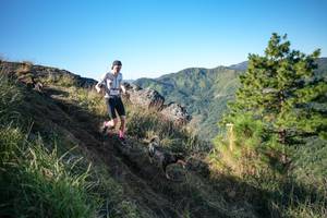 BIB: 
                            <button type="button" onclick="openModal(26611873)" class="btn btn-primary btn-sm float-right btn-popup" data-toggle="modal" data-target=".modal-high-quality">
                        <i class="fas fa-shopping-cart"></i> Add to Cart
                    </button>
                                            <button type="button" onclick="isThisMe(26611873, true)" class="btn btn-success btn-sm float-right btn-popup btn-isme hidden" data-toggle="tooltip" data-placement="bottom" title="นี่คือรูปของคุณใช่ไหม คลิกที่นี่เพื่อเอาเข้าอัลบั้ม">
                        <i class="fas fa-plus"></i> Add to album
                    </button>
                    <button type="button" onclick="isThisMe(26611873, false)" class="btn btn-warning btn-sm float-right btn-popup btn-isnotme hidden">
                        <i class="fas fa-ban"></i> Remove from album
                    </button>