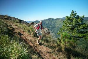 BIB: 
                            <button type="button" onclick="openModal(26612404)" class="btn btn-primary btn-sm float-right btn-popup" data-toggle="modal" data-target=".modal-high-quality">
                        <i class="fas fa-shopping-cart"></i> Add to Cart
                    </button>
                                            <button type="button" onclick="isThisMe(26612404, true)" class="btn btn-success btn-sm float-right btn-popup btn-isme hidden" data-toggle="tooltip" data-placement="bottom" title="นี่คือรูปของคุณใช่ไหม คลิกที่นี่เพื่อเอาเข้าอัลบั้ม">
                        <i class="fas fa-plus"></i> Add to album
                    </button>
                    <button type="button" onclick="isThisMe(26612404, false)" class="btn btn-warning btn-sm float-right btn-popup btn-isnotme hidden">
                        <i class="fas fa-ban"></i> Remove from album
                    </button>