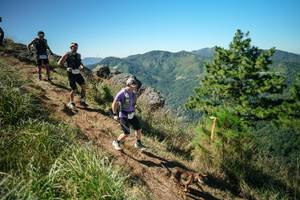 BIB: 
                            <button type="button" onclick="openModal(26613468)" class="btn btn-primary btn-sm float-right btn-popup" data-toggle="modal" data-target=".modal-high-quality">
                        <i class="fas fa-shopping-cart"></i> Add to Cart
                    </button>
                                            <button type="button" onclick="isThisMe(26613468, true)" class="btn btn-success btn-sm float-right btn-popup btn-isme hidden" data-toggle="tooltip" data-placement="bottom" title="นี่คือรูปของคุณใช่ไหม คลิกที่นี่เพื่อเอาเข้าอัลบั้ม">
                        <i class="fas fa-plus"></i> Add to album
                    </button>
                    <button type="button" onclick="isThisMe(26613468, false)" class="btn btn-warning btn-sm float-right btn-popup btn-isnotme hidden">
                        <i class="fas fa-ban"></i> Remove from album
                    </button>