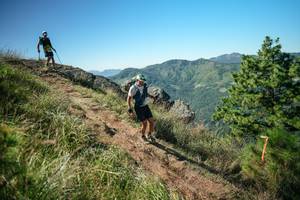 BIB: 
                            <button type="button" onclick="openModal(26613655)" class="btn btn-primary btn-sm float-right btn-popup" data-toggle="modal" data-target=".modal-high-quality">
                        <i class="fas fa-shopping-cart"></i> Add to Cart
                    </button>
                                            <button type="button" onclick="isThisMe(26613655, true)" class="btn btn-success btn-sm float-right btn-popup btn-isme hidden" data-toggle="tooltip" data-placement="bottom" title="นี่คือรูปของคุณใช่ไหม คลิกที่นี่เพื่อเอาเข้าอัลบั้ม">
                        <i class="fas fa-plus"></i> Add to album
                    </button>
                    <button type="button" onclick="isThisMe(26613655, false)" class="btn btn-warning btn-sm float-right btn-popup btn-isnotme hidden">
                        <i class="fas fa-ban"></i> Remove from album
                    </button>