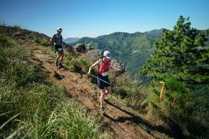 BIB: 
                            <button type="button" onclick="openModal(26613343)" class="btn btn-primary btn-sm float-right btn-popup" data-toggle="modal" data-target=".modal-high-quality">
                        <i class="fas fa-shopping-cart"></i> Add to Cart
                    </button>
                                            <button type="button" onclick="isThisMe(26613343, true)" class="btn btn-success btn-sm float-right btn-popup btn-isme hidden" data-toggle="tooltip" data-placement="bottom" title="นี่คือรูปของคุณใช่ไหม คลิกที่นี่เพื่อเอาเข้าอัลบั้ม">
                        <i class="fas fa-plus"></i> Add to album
                    </button>
                    <button type="button" onclick="isThisMe(26613343, false)" class="btn btn-warning btn-sm float-right btn-popup btn-isnotme hidden">
                        <i class="fas fa-ban"></i> Remove from album
                    </button>