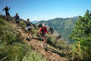 BIB: 
                            <button type="button" onclick="openModal(26613437)" class="btn btn-primary btn-sm float-right btn-popup" data-toggle="modal" data-target=".modal-high-quality">
                        <i class="fas fa-shopping-cart"></i> Add to Cart
                    </button>
                                            <button type="button" onclick="isThisMe(26613437, true)" class="btn btn-success btn-sm float-right btn-popup btn-isme hidden" data-toggle="tooltip" data-placement="bottom" title="นี่คือรูปของคุณใช่ไหม คลิกที่นี่เพื่อเอาเข้าอัลบั้ม">
                        <i class="fas fa-plus"></i> Add to album
                    </button>
                    <button type="button" onclick="isThisMe(26613437, false)" class="btn btn-warning btn-sm float-right btn-popup btn-isnotme hidden">
                        <i class="fas fa-ban"></i> Remove from album
                    </button>