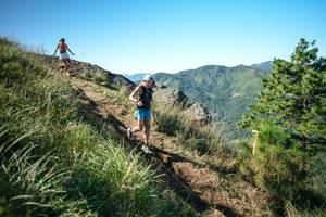 BIB: 
                            <button type="button" onclick="openModal(26612129)" class="btn btn-primary btn-sm float-right btn-popup" data-toggle="modal" data-target=".modal-high-quality">
                        <i class="fas fa-shopping-cart"></i> Add to Cart
                    </button>
                                            <button type="button" onclick="isThisMe(26612129, true)" class="btn btn-success btn-sm float-right btn-popup btn-isme hidden" data-toggle="tooltip" data-placement="bottom" title="นี่คือรูปของคุณใช่ไหม คลิกที่นี่เพื่อเอาเข้าอัลบั้ม">
                        <i class="fas fa-plus"></i> Add to album
                    </button>
                    <button type="button" onclick="isThisMe(26612129, false)" class="btn btn-warning btn-sm float-right btn-popup btn-isnotme hidden">
                        <i class="fas fa-ban"></i> Remove from album
                    </button>