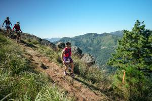 BIB: 
                            <button type="button" onclick="openModal(26613412)" class="btn btn-primary btn-sm float-right btn-popup" data-toggle="modal" data-target=".modal-high-quality">
                        <i class="fas fa-shopping-cart"></i> Add to Cart
                    </button>
                                            <button type="button" onclick="isThisMe(26613412, true)" class="btn btn-success btn-sm float-right btn-popup btn-isme hidden" data-toggle="tooltip" data-placement="bottom" title="นี่คือรูปของคุณใช่ไหม คลิกที่นี่เพื่อเอาเข้าอัลบั้ม">
                        <i class="fas fa-plus"></i> Add to album
                    </button>
                    <button type="button" onclick="isThisMe(26613412, false)" class="btn btn-warning btn-sm float-right btn-popup btn-isnotme hidden">
                        <i class="fas fa-ban"></i> Remove from album
                    </button>