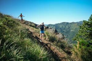 BIB: 
                            <button type="button" onclick="openModal(26612126)" class="btn btn-primary btn-sm float-right btn-popup" data-toggle="modal" data-target=".modal-high-quality">
                        <i class="fas fa-shopping-cart"></i> Add to Cart
                    </button>
                                            <button type="button" onclick="isThisMe(26612126, true)" class="btn btn-success btn-sm float-right btn-popup btn-isme hidden" data-toggle="tooltip" data-placement="bottom" title="นี่คือรูปของคุณใช่ไหม คลิกที่นี่เพื่อเอาเข้าอัลบั้ม">
                        <i class="fas fa-plus"></i> Add to album
                    </button>
                    <button type="button" onclick="isThisMe(26612126, false)" class="btn btn-warning btn-sm float-right btn-popup btn-isnotme hidden">
                        <i class="fas fa-ban"></i> Remove from album
                    </button>