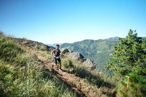 BIB: 
                            <button type="button" onclick="openModal(26612147)" class="btn btn-primary btn-sm float-right btn-popup" data-toggle="modal" data-target=".modal-high-quality">
                        <i class="fas fa-shopping-cart"></i> Add to Cart
                    </button>
                                            <button type="button" onclick="isThisMe(26612147, true)" class="btn btn-success btn-sm float-right btn-popup btn-isme hidden" data-toggle="tooltip" data-placement="bottom" title="นี่คือรูปของคุณใช่ไหม คลิกที่นี่เพื่อเอาเข้าอัลบั้ม">
                        <i class="fas fa-plus"></i> Add to album
                    </button>
                    <button type="button" onclick="isThisMe(26612147, false)" class="btn btn-warning btn-sm float-right btn-popup btn-isnotme hidden">
                        <i class="fas fa-ban"></i> Remove from album
                    </button>