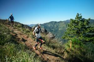 BIB: 
                            <button type="button" onclick="openModal(26612629)" class="btn btn-primary btn-sm float-right btn-popup" data-toggle="modal" data-target=".modal-high-quality">
                        <i class="fas fa-shopping-cart"></i> Add to Cart
                    </button>
                                            <button type="button" onclick="isThisMe(26612629, true)" class="btn btn-success btn-sm float-right btn-popup btn-isme hidden" data-toggle="tooltip" data-placement="bottom" title="นี่คือรูปของคุณใช่ไหม คลิกที่นี่เพื่อเอาเข้าอัลบั้ม">
                        <i class="fas fa-plus"></i> Add to album
                    </button>
                    <button type="button" onclick="isThisMe(26612629, false)" class="btn btn-warning btn-sm float-right btn-popup btn-isnotme hidden">
                        <i class="fas fa-ban"></i> Remove from album
                    </button>