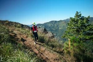 BIB: 
                            <button type="button" onclick="openModal(26612551)" class="btn btn-primary btn-sm float-right btn-popup" data-toggle="modal" data-target=".modal-high-quality">
                        <i class="fas fa-shopping-cart"></i> Add to Cart
                    </button>
                                            <button type="button" onclick="isThisMe(26612551, true)" class="btn btn-success btn-sm float-right btn-popup btn-isme hidden" data-toggle="tooltip" data-placement="bottom" title="นี่คือรูปของคุณใช่ไหม คลิกที่นี่เพื่อเอาเข้าอัลบั้ม">
                        <i class="fas fa-plus"></i> Add to album
                    </button>
                    <button type="button" onclick="isThisMe(26612551, false)" class="btn btn-warning btn-sm float-right btn-popup btn-isnotme hidden">
                        <i class="fas fa-ban"></i> Remove from album
                    </button>