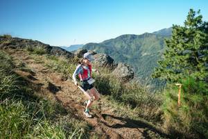 BIB: 
                            <button type="button" onclick="openModal(26612833)" class="btn btn-primary btn-sm float-right btn-popup" data-toggle="modal" data-target=".modal-high-quality">
                        <i class="fas fa-shopping-cart"></i> Add to Cart
                    </button>
                                            <button type="button" onclick="isThisMe(26612833, true)" class="btn btn-success btn-sm float-right btn-popup btn-isme hidden" data-toggle="tooltip" data-placement="bottom" title="นี่คือรูปของคุณใช่ไหม คลิกที่นี่เพื่อเอาเข้าอัลบั้ม">
                        <i class="fas fa-plus"></i> Add to album
                    </button>
                    <button type="button" onclick="isThisMe(26612833, false)" class="btn btn-warning btn-sm float-right btn-popup btn-isnotme hidden">
                        <i class="fas fa-ban"></i> Remove from album
                    </button>