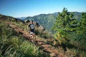 BIB: 
                            <button type="button" onclick="openModal(26612250)" class="btn btn-primary btn-sm float-right btn-popup" data-toggle="modal" data-target=".modal-high-quality">
                        <i class="fas fa-shopping-cart"></i> Add to Cart
                    </button>
                                            <button type="button" onclick="isThisMe(26612250, true)" class="btn btn-success btn-sm float-right btn-popup btn-isme hidden" data-toggle="tooltip" data-placement="bottom" title="นี่คือรูปของคุณใช่ไหม คลิกที่นี่เพื่อเอาเข้าอัลบั้ม">
                        <i class="fas fa-plus"></i> Add to album
                    </button>
                    <button type="button" onclick="isThisMe(26612250, false)" class="btn btn-warning btn-sm float-right btn-popup btn-isnotme hidden">
                        <i class="fas fa-ban"></i> Remove from album
                    </button>