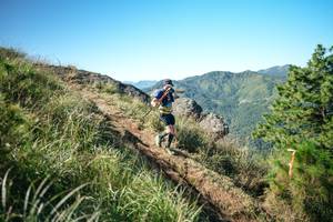 BIB: 
                            <button type="button" onclick="openModal(26612161)" class="btn btn-primary btn-sm float-right btn-popup" data-toggle="modal" data-target=".modal-high-quality">
                        <i class="fas fa-shopping-cart"></i> Add to Cart
                    </button>
                                            <button type="button" onclick="isThisMe(26612161, true)" class="btn btn-success btn-sm float-right btn-popup btn-isme hidden" data-toggle="tooltip" data-placement="bottom" title="นี่คือรูปของคุณใช่ไหม คลิกที่นี่เพื่อเอาเข้าอัลบั้ม">
                        <i class="fas fa-plus"></i> Add to album
                    </button>
                    <button type="button" onclick="isThisMe(26612161, false)" class="btn btn-warning btn-sm float-right btn-popup btn-isnotme hidden">
                        <i class="fas fa-ban"></i> Remove from album
                    </button>