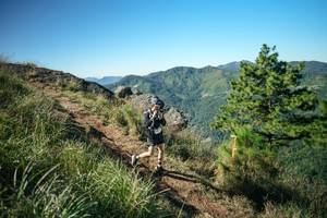 BIB: 
                            <button type="button" onclick="openModal(26612205)" class="btn btn-primary btn-sm float-right btn-popup" data-toggle="modal" data-target=".modal-high-quality">
                        <i class="fas fa-shopping-cart"></i> Add to Cart
                    </button>
                                            <button type="button" onclick="isThisMe(26612205, true)" class="btn btn-success btn-sm float-right btn-popup btn-isme hidden" data-toggle="tooltip" data-placement="bottom" title="นี่คือรูปของคุณใช่ไหม คลิกที่นี่เพื่อเอาเข้าอัลบั้ม">
                        <i class="fas fa-plus"></i> Add to album
                    </button>
                    <button type="button" onclick="isThisMe(26612205, false)" class="btn btn-warning btn-sm float-right btn-popup btn-isnotme hidden">
                        <i class="fas fa-ban"></i> Remove from album
                    </button>