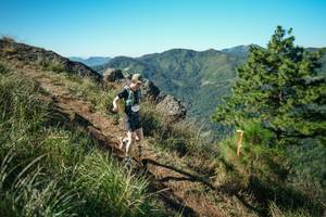 BIB: 
                            <button type="button" onclick="openModal(26612180)" class="btn btn-primary btn-sm float-right btn-popup" data-toggle="modal" data-target=".modal-high-quality">
                        <i class="fas fa-shopping-cart"></i> Add to Cart
                    </button>
                                            <button type="button" onclick="isThisMe(26612180, true)" class="btn btn-success btn-sm float-right btn-popup btn-isme hidden" data-toggle="tooltip" data-placement="bottom" title="นี่คือรูปของคุณใช่ไหม คลิกที่นี่เพื่อเอาเข้าอัลบั้ม">
                        <i class="fas fa-plus"></i> Add to album
                    </button>
                    <button type="button" onclick="isThisMe(26612180, false)" class="btn btn-warning btn-sm float-right btn-popup btn-isnotme hidden">
                        <i class="fas fa-ban"></i> Remove from album
                    </button>