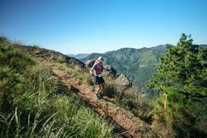 BIB: 
                            <button type="button" onclick="openModal(26612241)" class="btn btn-primary btn-sm float-right btn-popup" data-toggle="modal" data-target=".modal-high-quality">
                        <i class="fas fa-shopping-cart"></i> Add to Cart
                    </button>
                                            <button type="button" onclick="isThisMe(26612241, true)" class="btn btn-success btn-sm float-right btn-popup btn-isme hidden" data-toggle="tooltip" data-placement="bottom" title="นี่คือรูปของคุณใช่ไหม คลิกที่นี่เพื่อเอาเข้าอัลบั้ม">
                        <i class="fas fa-plus"></i> Add to album
                    </button>
                    <button type="button" onclick="isThisMe(26612241, false)" class="btn btn-warning btn-sm float-right btn-popup btn-isnotme hidden">
                        <i class="fas fa-ban"></i> Remove from album
                    </button>