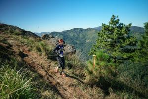 BIB: 
                            <button type="button" onclick="openModal(26612518)" class="btn btn-primary btn-sm float-right btn-popup" data-toggle="modal" data-target=".modal-high-quality">
                        <i class="fas fa-shopping-cart"></i> Add to Cart
                    </button>
                                            <button type="button" onclick="isThisMe(26612518, true)" class="btn btn-success btn-sm float-right btn-popup btn-isme hidden" data-toggle="tooltip" data-placement="bottom" title="นี่คือรูปของคุณใช่ไหม คลิกที่นี่เพื่อเอาเข้าอัลบั้ม">
                        <i class="fas fa-plus"></i> Add to album
                    </button>
                    <button type="button" onclick="isThisMe(26612518, false)" class="btn btn-warning btn-sm float-right btn-popup btn-isnotme hidden">
                        <i class="fas fa-ban"></i> Remove from album
                    </button>