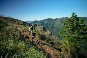 BIB: 
                            <button type="button" onclick="openModal(26612271)" class="btn btn-primary btn-sm float-right btn-popup" data-toggle="modal" data-target=".modal-high-quality">
                        <i class="fas fa-shopping-cart"></i> Add to Cart
                    </button>
                                            <button type="button" onclick="isThisMe(26612271, true)" class="btn btn-success btn-sm float-right btn-popup btn-isme hidden" data-toggle="tooltip" data-placement="bottom" title="นี่คือรูปของคุณใช่ไหม คลิกที่นี่เพื่อเอาเข้าอัลบั้ม">
                        <i class="fas fa-plus"></i> Add to album
                    </button>
                    <button type="button" onclick="isThisMe(26612271, false)" class="btn btn-warning btn-sm float-right btn-popup btn-isnotme hidden">
                        <i class="fas fa-ban"></i> Remove from album
                    </button>