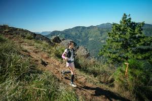 BIB: 
                            <button type="button" onclick="openModal(26614227)" class="btn btn-primary btn-sm float-right btn-popup" data-toggle="modal" data-target=".modal-high-quality">
                        <i class="fas fa-shopping-cart"></i> Add to Cart
                    </button>
                                            <button type="button" onclick="isThisMe(26614227, true)" class="btn btn-success btn-sm float-right btn-popup btn-isme hidden" data-toggle="tooltip" data-placement="bottom" title="นี่คือรูปของคุณใช่ไหม คลิกที่นี่เพื่อเอาเข้าอัลบั้ม">
                        <i class="fas fa-plus"></i> Add to album
                    </button>
                    <button type="button" onclick="isThisMe(26614227, false)" class="btn btn-warning btn-sm float-right btn-popup btn-isnotme hidden">
                        <i class="fas fa-ban"></i> Remove from album
                    </button>