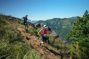 BIB: 
                            <button type="button" onclick="openModal(26613339)" class="btn btn-primary btn-sm float-right btn-popup" data-toggle="modal" data-target=".modal-high-quality">
                        <i class="fas fa-shopping-cart"></i> Add to Cart
                    </button>
                                            <button type="button" onclick="isThisMe(26613339, true)" class="btn btn-success btn-sm float-right btn-popup btn-isme hidden" data-toggle="tooltip" data-placement="bottom" title="นี่คือรูปของคุณใช่ไหม คลิกที่นี่เพื่อเอาเข้าอัลบั้ม">
                        <i class="fas fa-plus"></i> Add to album
                    </button>
                    <button type="button" onclick="isThisMe(26613339, false)" class="btn btn-warning btn-sm float-right btn-popup btn-isnotme hidden">
                        <i class="fas fa-ban"></i> Remove from album
                    </button>