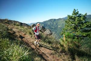 BIB: 
                            <button type="button" onclick="openModal(26612387)" class="btn btn-primary btn-sm float-right btn-popup" data-toggle="modal" data-target=".modal-high-quality">
                        <i class="fas fa-shopping-cart"></i> Add to Cart
                    </button>
                                            <button type="button" onclick="isThisMe(26612387, true)" class="btn btn-success btn-sm float-right btn-popup btn-isme hidden" data-toggle="tooltip" data-placement="bottom" title="นี่คือรูปของคุณใช่ไหม คลิกที่นี่เพื่อเอาเข้าอัลบั้ม">
                        <i class="fas fa-plus"></i> Add to album
                    </button>
                    <button type="button" onclick="isThisMe(26612387, false)" class="btn btn-warning btn-sm float-right btn-popup btn-isnotme hidden">
                        <i class="fas fa-ban"></i> Remove from album
                    </button>