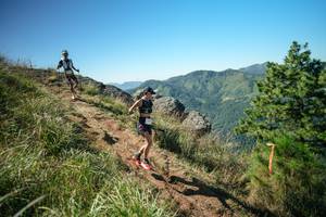 BIB: 
                            <button type="button" onclick="openModal(26613522)" class="btn btn-primary btn-sm float-right btn-popup" data-toggle="modal" data-target=".modal-high-quality">
                        <i class="fas fa-shopping-cart"></i> Add to Cart
                    </button>
                                            <button type="button" onclick="isThisMe(26613522, true)" class="btn btn-success btn-sm float-right btn-popup btn-isme hidden" data-toggle="tooltip" data-placement="bottom" title="นี่คือรูปของคุณใช่ไหม คลิกที่นี่เพื่อเอาเข้าอัลบั้ม">
                        <i class="fas fa-plus"></i> Add to album
                    </button>
                    <button type="button" onclick="isThisMe(26613522, false)" class="btn btn-warning btn-sm float-right btn-popup btn-isnotme hidden">
                        <i class="fas fa-ban"></i> Remove from album
                    </button>