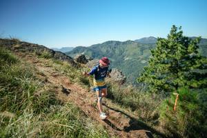 BIB: 
                            <button type="button" onclick="openModal(26614208)" class="btn btn-primary btn-sm float-right btn-popup" data-toggle="modal" data-target=".modal-high-quality">
                        <i class="fas fa-shopping-cart"></i> Add to Cart
                    </button>
                                            <button type="button" onclick="isThisMe(26614208, true)" class="btn btn-success btn-sm float-right btn-popup btn-isme hidden" data-toggle="tooltip" data-placement="bottom" title="นี่คือรูปของคุณใช่ไหม คลิกที่นี่เพื่อเอาเข้าอัลบั้ม">
                        <i class="fas fa-plus"></i> Add to album
                    </button>
                    <button type="button" onclick="isThisMe(26614208, false)" class="btn btn-warning btn-sm float-right btn-popup btn-isnotme hidden">
                        <i class="fas fa-ban"></i> Remove from album
                    </button>